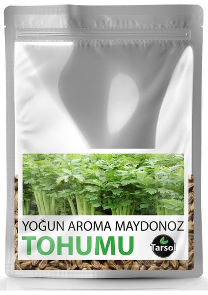 Yoğun Aroma Maydonoz Tohumu Yüksek Verim 30'lu