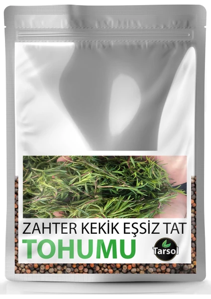 Zahter Kekik Tohumu Yüksek Verim 30'lu