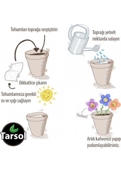 Patlıcan Tohumu 30'lu Toprak ve Saksı Seti