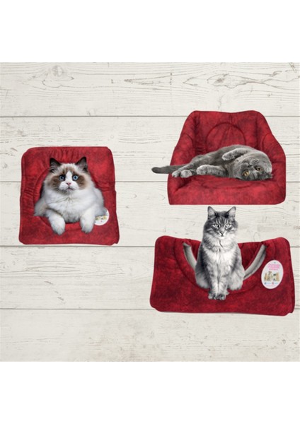 Bordo Kedi ve Köpek Yuvası 3 Ayrı Kullanım