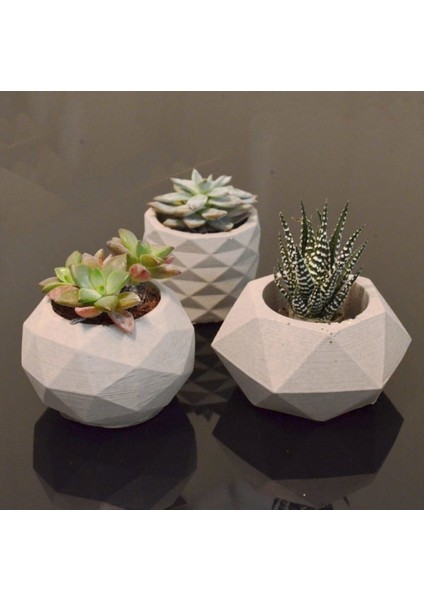 Beton Saksı Sukulent Beton Kaktus Saksısı Betondan Saksı Seti