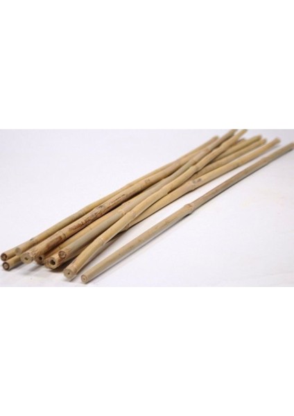 Bambu Bitki Fidan Destek Çubuğu 10 Adet 150 cm fiyatları