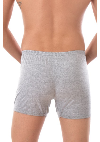 3 Adet Seher 0006 Erkek Arjantin Boxer Gri