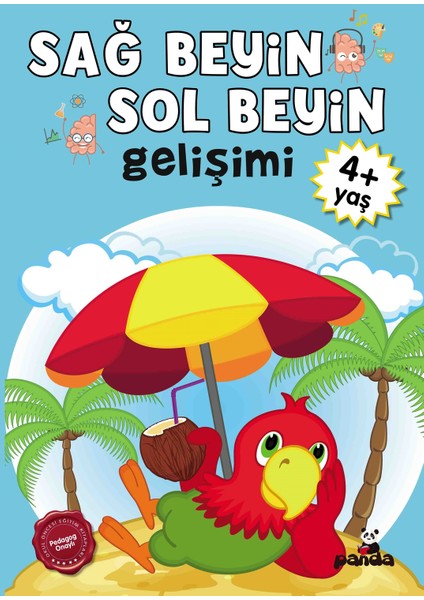 4 Yaş Sağ Beyin-Sol Beyin Gelişimi