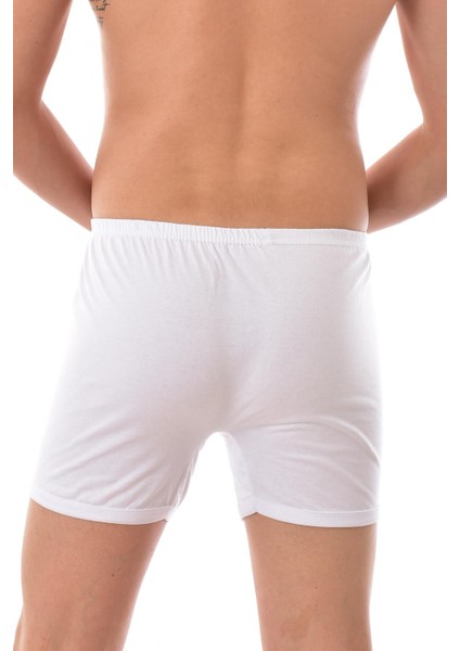 6 Adet Seher 0006 Erkek Arjantin Boxer Beyaz Beyaz