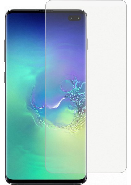 Nettech Samsung Galaxy S10 Uyumlu Ön Koruma 360 Full Kaplama