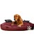 Elite Yıkanabilir Ultra Soft Köpek Yatağı 1