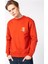 Erkek Sweatshirt 62143-30034 2
