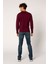 Vigoss Erkek Sweatshirt B44221-03370 4