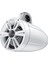 TS-ME770TSW 250 W Marine Kule Hoparlör 1