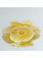 Ananas Kurusu 500 gr 2