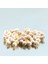 Beyaz Leblebi 500 gr 3