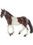 Mare At 1