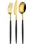 Washabi Serisi Siyah Gold 3 Parça 1 Kişilik Yemek Çatal Bıçak Kaşık Takımı 1