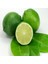 Tüplü Meksika Lime Limon Fidanı 1
