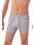 3 Adet Seher 0006 Erkek Arjantin Boxer Gri 2