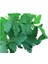 Biogen D'giant Italiana Maydanoz Tohumu 25GR 1 Paket 1
