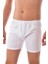 6 Adet Seher 0006 Erkek Arjantin Boxer Beyaz Beyaz 2