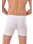 6 Adet Seher 0006 Erkek Arjantin Boxer Beyaz Beyaz 3
