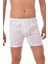 12 Adet Seher 0006 Erkek Arjantin Boxer Beyaz 1