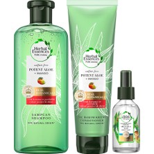 Herbal Essences Sülfatsız Saç Bakım Seti (Şampuan + Krem + Saç Bakım Yağı)