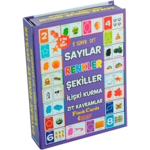 Diytoy, Süper Set, Zeka Kartları, Eğitici Kart, Sayılar, Renkler, Şekiller