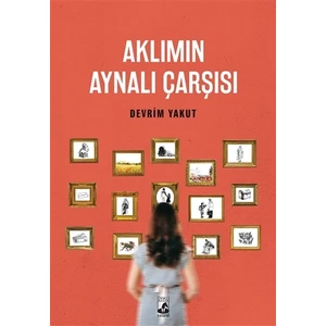 Aklımın Aynalı Çarşısı - Devrim Yakut