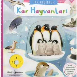 Hareketli Kar Hayvanları - Ali Berktay