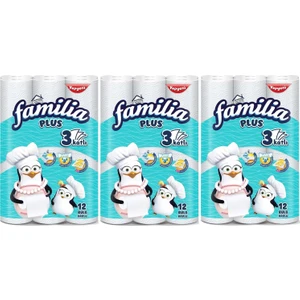 Kağıt Havlu Plus 36 Lı Pk (3 Katlı) (3pk*12)