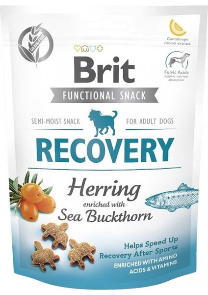 Function Snack Ricovery Ringa Balıklı Köpek Ödülü 150GR 2'li Set Idili