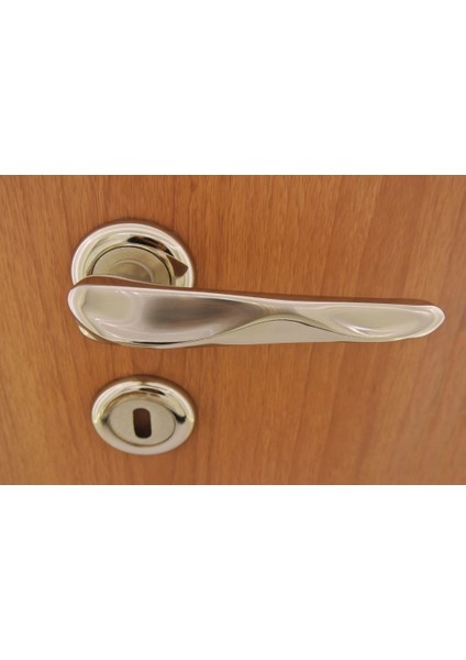 Roma Nikel Saten Rozetli Kapı Kolu Oda fiyatları