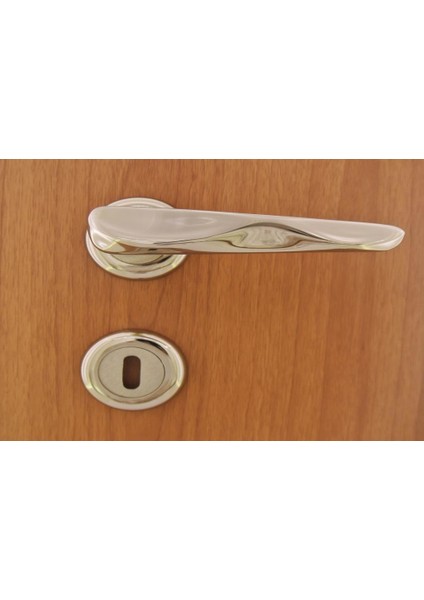 Roma Nikel Saten Rozetli Kapı Kolu Oda modelleri