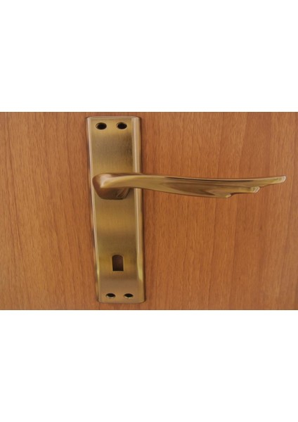 Berlin Antik Aynalı Kapı Kolu Oda