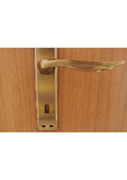 Berlin Antik Aynalı Kapı Kolu Oda modelleri