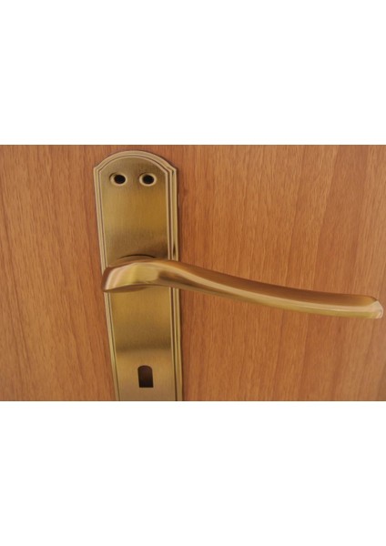 Venüs Antik Aynalı Kapı Kolu Wc Sağ