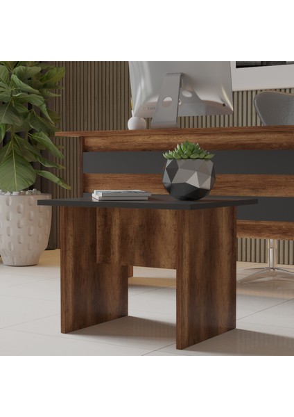 Verona B Ofis Sehpası Barok/meşe/beyaz