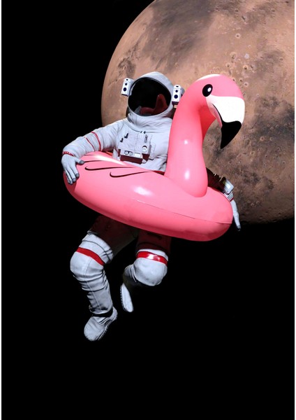 Canvas Pembe Astronot Tablo 0021