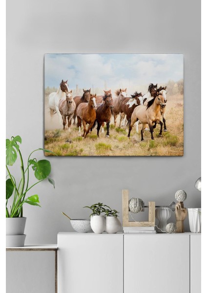 Canvas At Tablo 0037