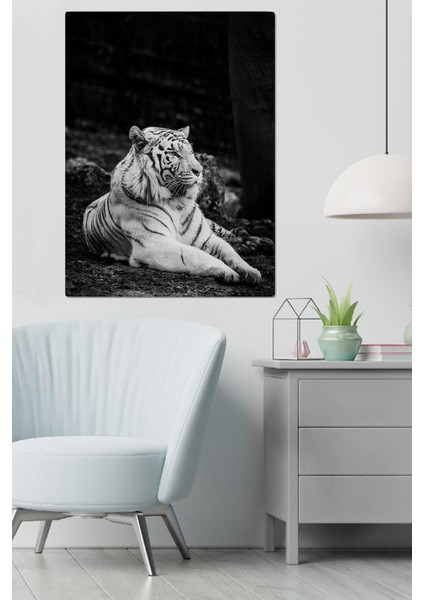 Canvas Kaplan Tablo 0107