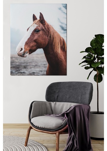 Canvas At Tablo 0142