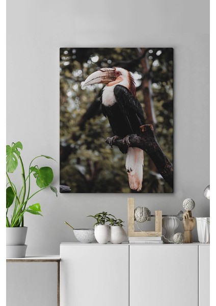Canvas Hayvanlar Tablo 0146