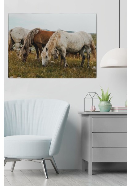 Canvas At Tablo 0167