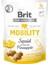 Function Snack Mobility Kalamarlı Köpek Ödülü 150GR 5'li Set Idili 1