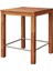 Interbuild Chicago Bar Masamasif Akasya AHŞAP(75X75X95)CM Iç Mekan/ Dış Mekan Bar Masası, Balkon,bahçe,teras,veranda Masası Renk; Altın Teak 1