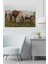 Canvas At Tablo 0167 1