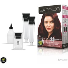 SEA COLOR 4.6  Kestane Kızılı Set Boya