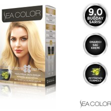 SEA COLOR 9.0  Buğday Sarısı Set Boya