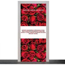 Okularenkkat Meslek Dersliği Kapı Giydirme