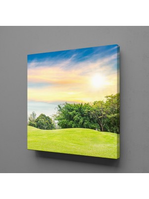 Technopa Yeşillik Ağaçlar 90X90CM