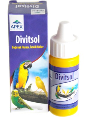 Pi İthalat Muhabbet Kuşu - Apex Divitsol